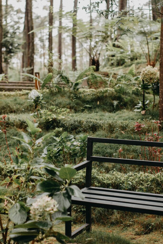 pexels teguhsugi 6903895